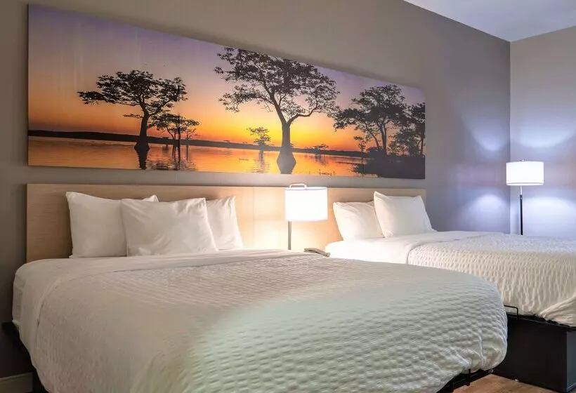 Hotel Days Inn & Suites By Wyndham Savannah North I95