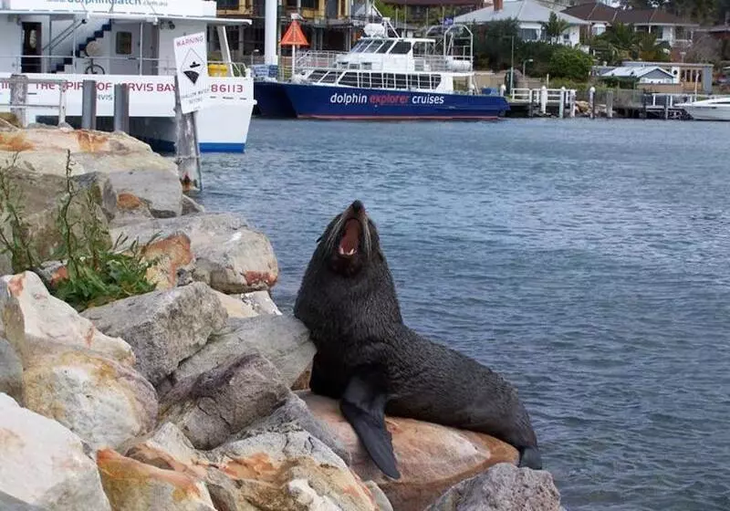 酒店 Dolphin Shores