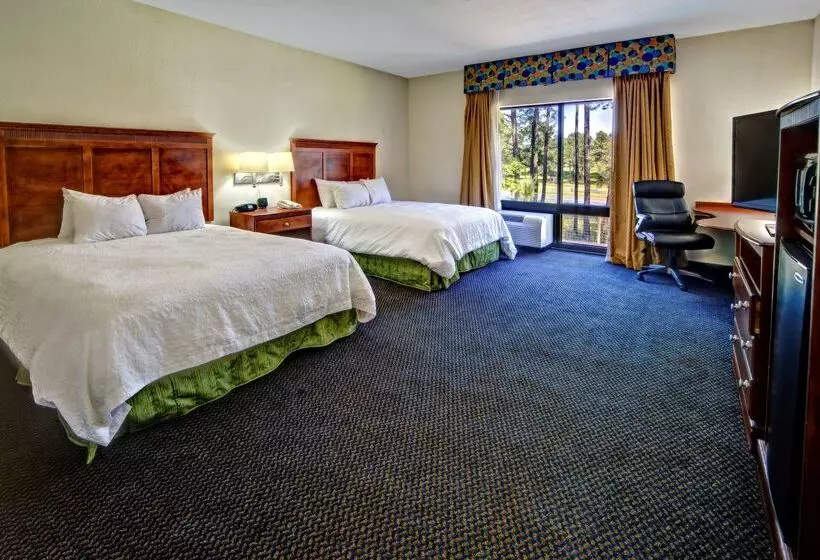 호텔 Hampton Inn Quincy