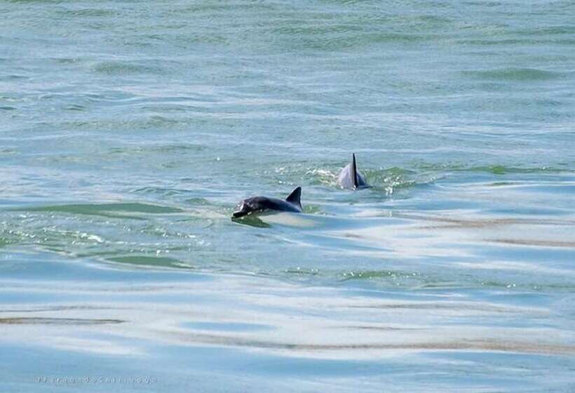 Hotel Pousada Berro Do Jeguy