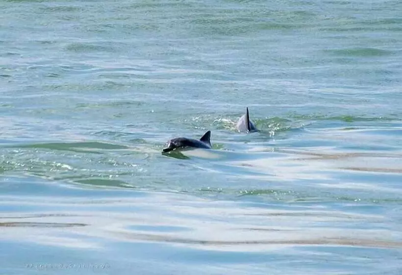 酒店 Pousada Berro Do Jeguy