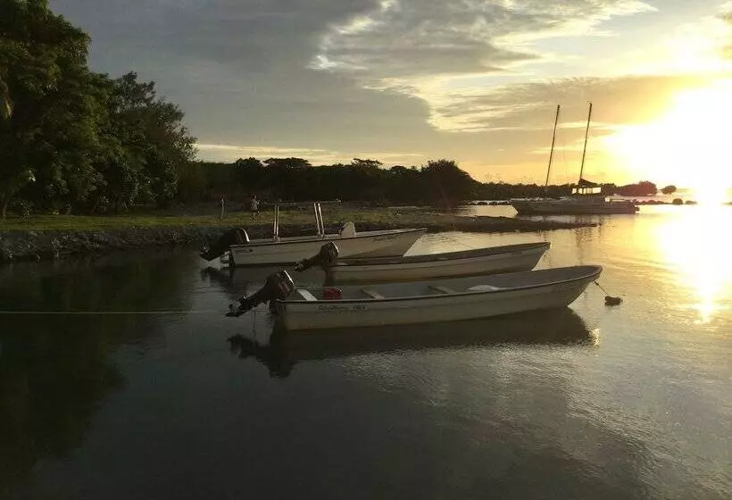 هتل Rendezvous Surf Camp Fiji   Hostel