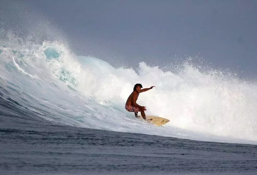 هتل Rendezvous Surf Camp Fiji   Hostel