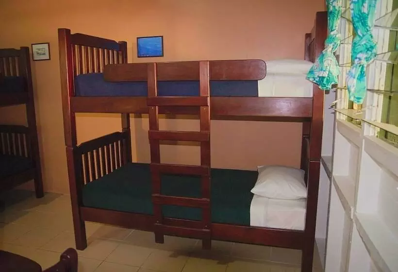 هتل Rendezvous Surf Camp Fiji   Hostel