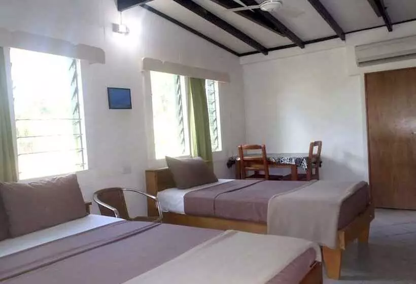 هتل Rendezvous Surf Camp Fiji   Hostel