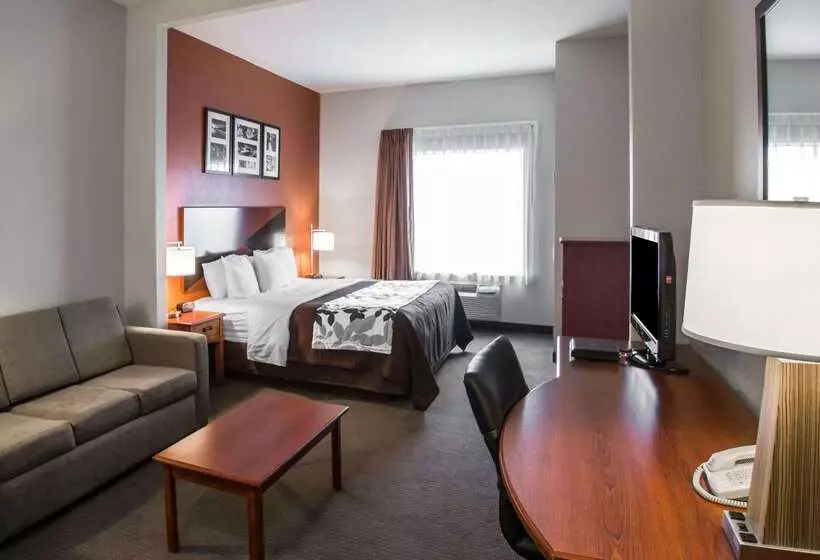 호텔 Sleep Inn & Suites Palatka North