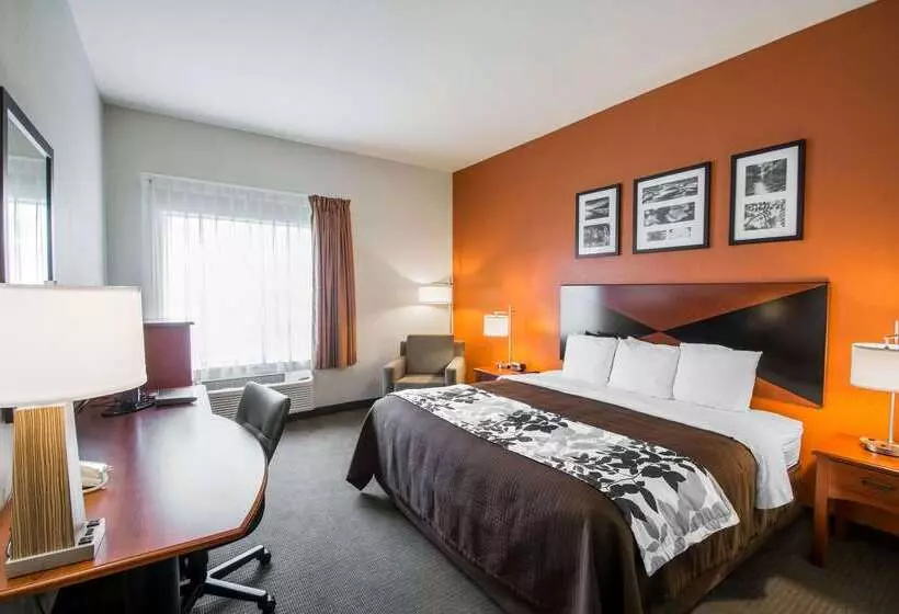 호텔 Sleep Inn & Suites Palatka North