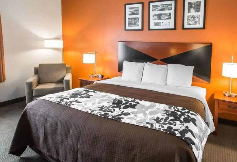 호텔 Sleep Inn & Suites Palatka North