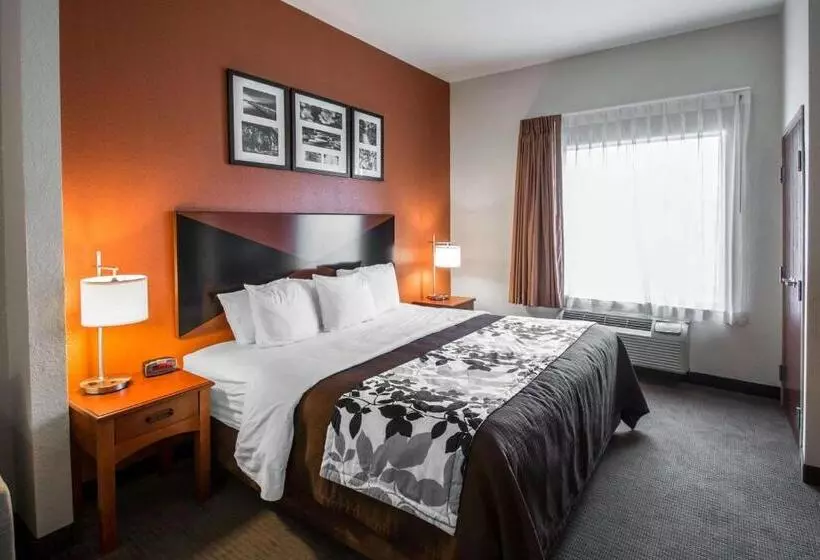 호텔 Sleep Inn & Suites Palatka North