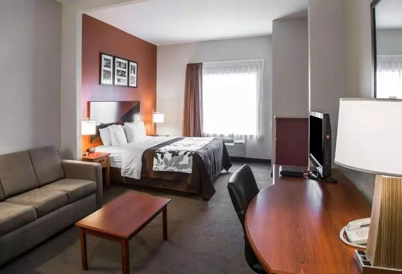 호텔 Sleep Inn & Suites Palatka North