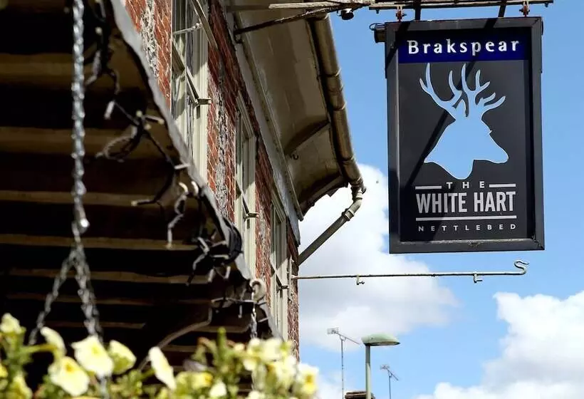 酒店 The White Hart