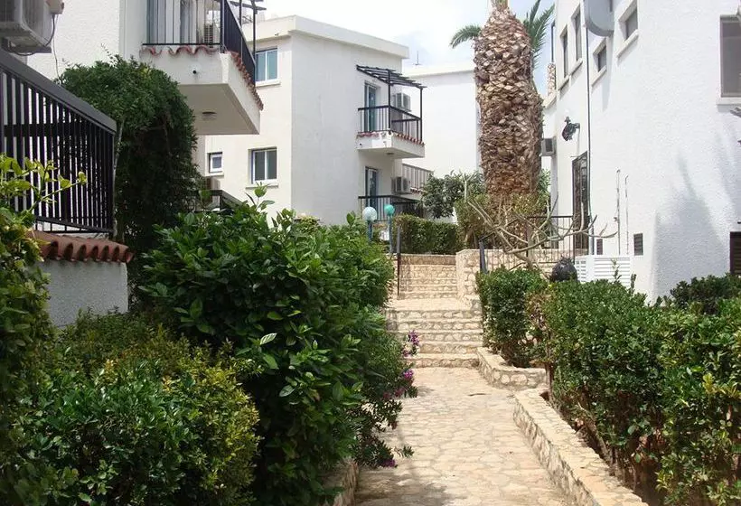 Aphelandra Apartments