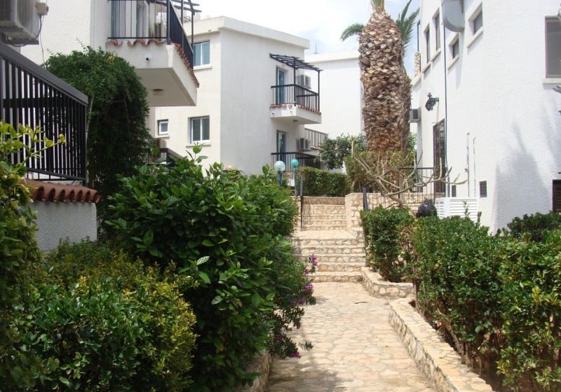 Aphelandra  Apartments