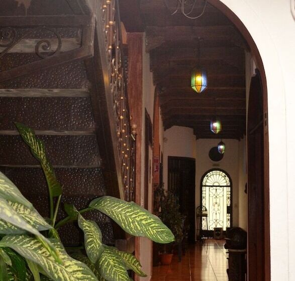 ベッドアンドブレックファースト Villa Florencia Centro Histórico