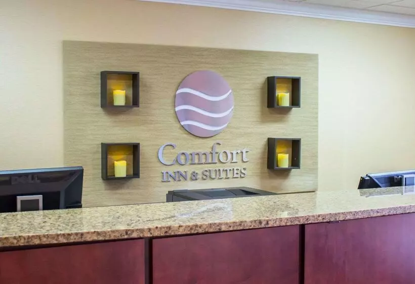 酒店 Comfort Inn & Suites Trussville I59 Exit 141
