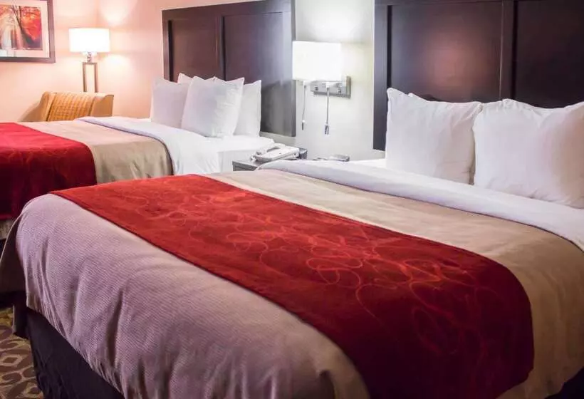 酒店 Comfort Inn & Suites Trussville I59 Exit 141