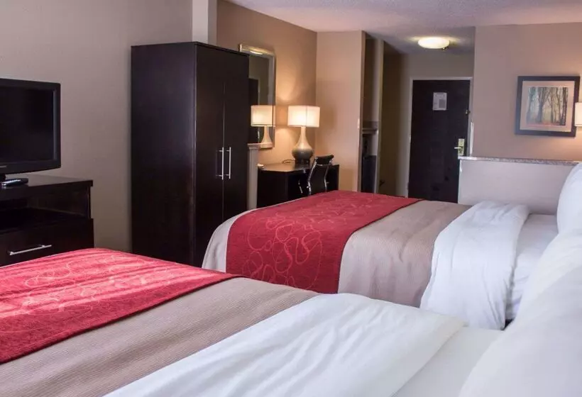 酒店 Comfort Inn & Suites Trussville I59 Exit 141