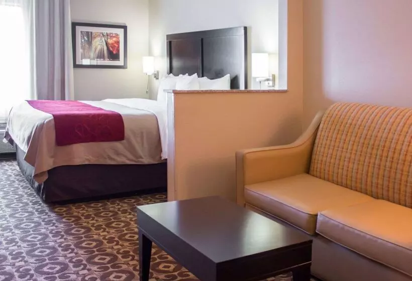 酒店 Comfort Inn & Suites Trussville I59 Exit 141