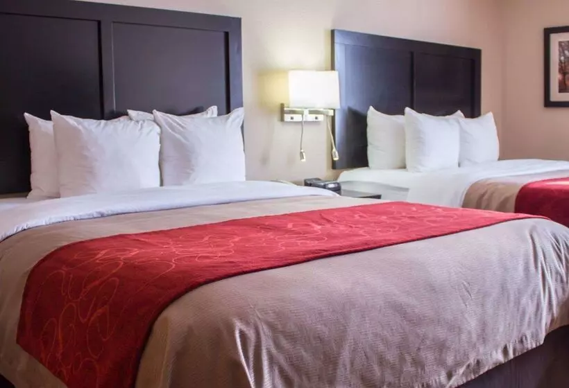 酒店 Comfort Inn & Suites Trussville I59 Exit 141