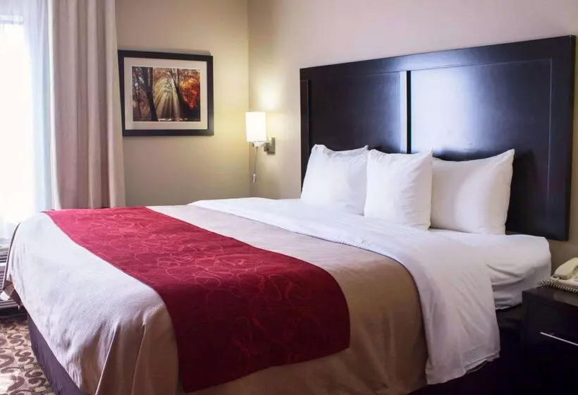 酒店 Comfort Inn & Suites Trussville I59 Exit 141