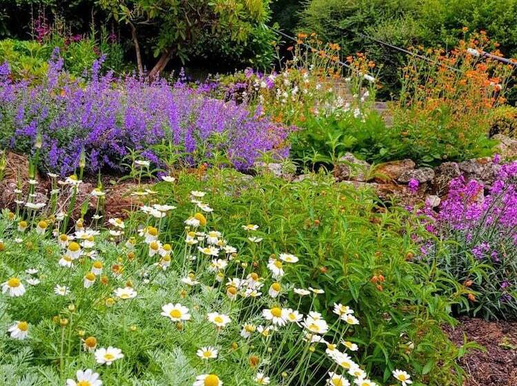 호텔 Eastwrey Barton Country House