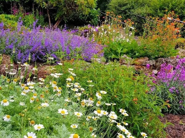 Отель Eastwrey Barton Country House