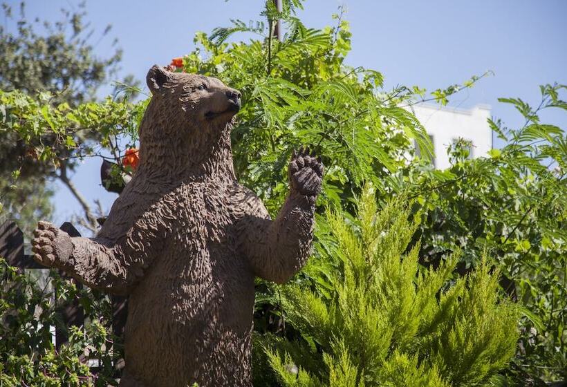 בית מלון כפרי Golden Age Crystal Bodrum   All Inclusive