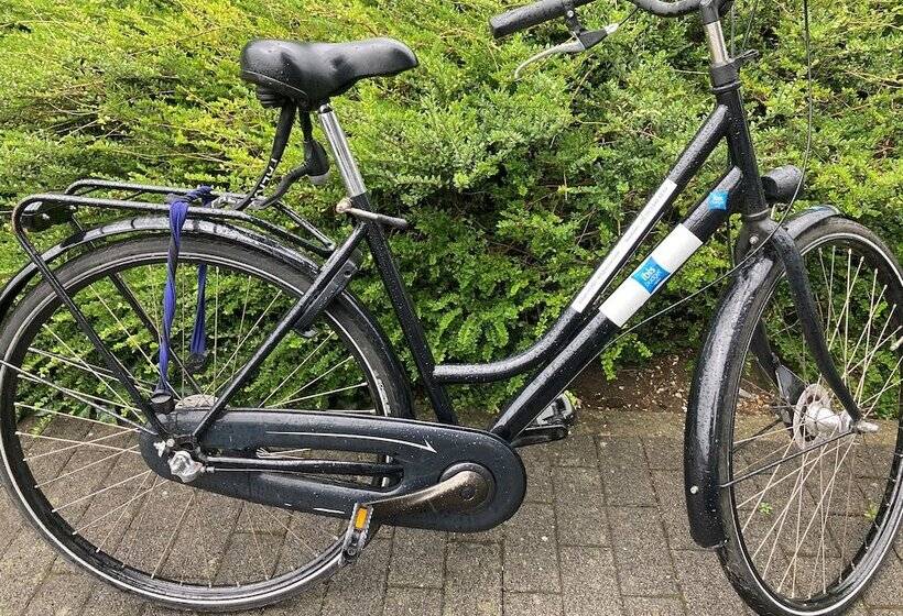 هتل Ibis Budget Antwerpen Port