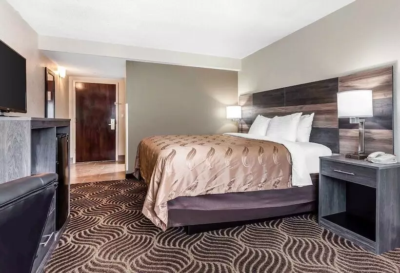 ホテル Quality Inn & Suites