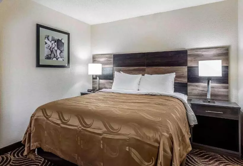 ホテル Quality Inn & Suites