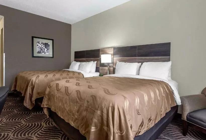 ホテル Quality Inn & Suites