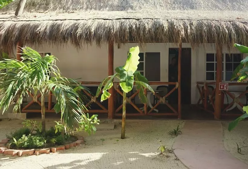 تختخواب و صبحانه Kinta Kan Beach Hotel Boutique Playa Del Carmen