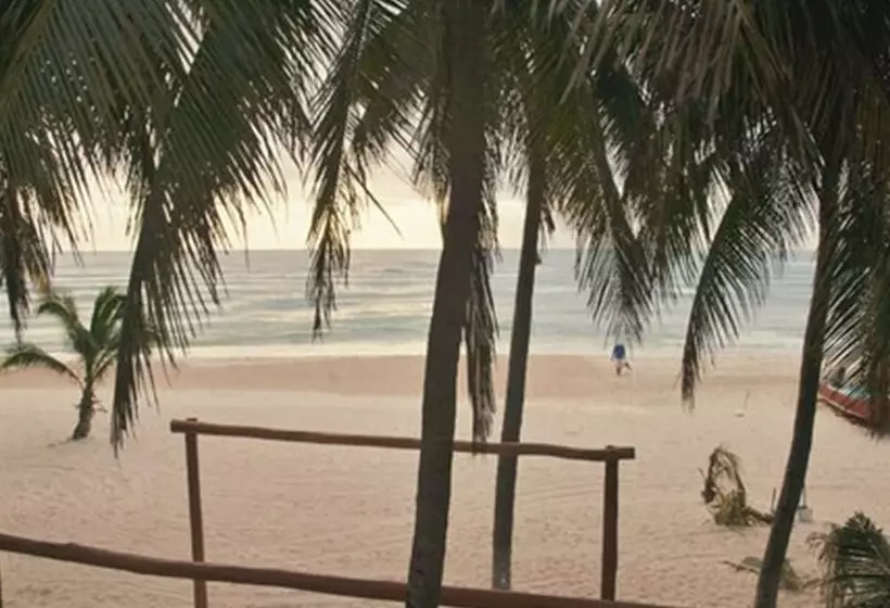 تختخواب و صبحانه Kinta Kan Beach Hotel Boutique Playa Del Carmen