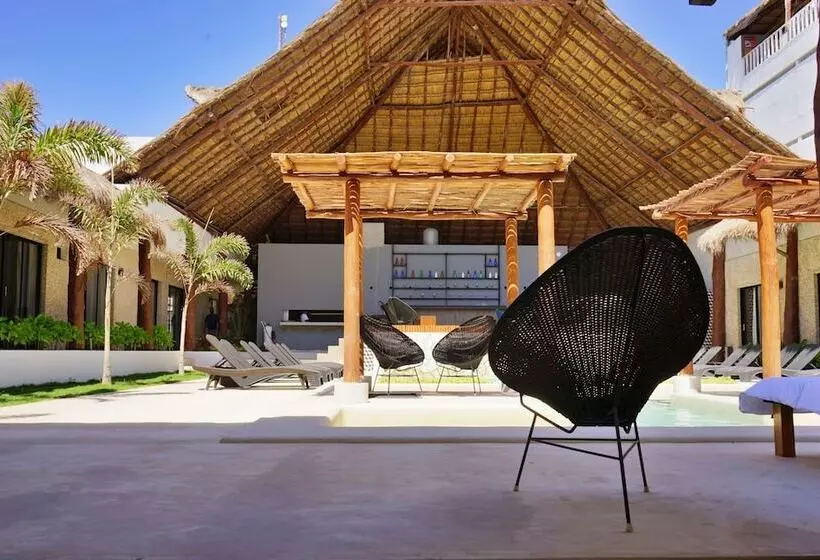 تختخواب و صبحانه Kinta Kan Beach Hotel Boutique Playa Del Carmen