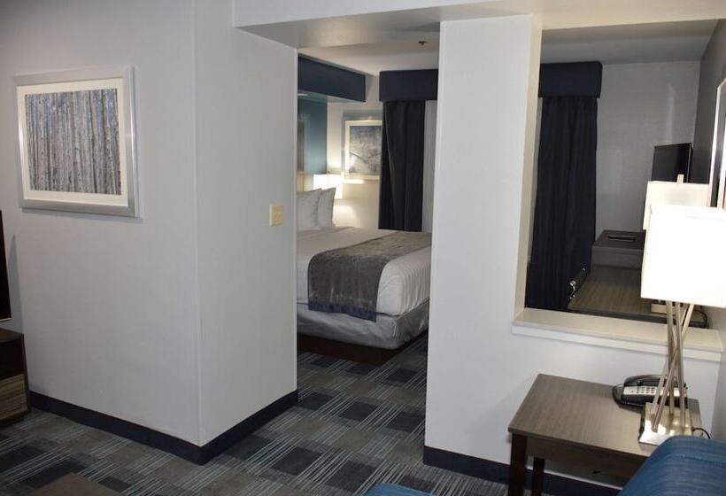 فندق Best Western Town Center Inn