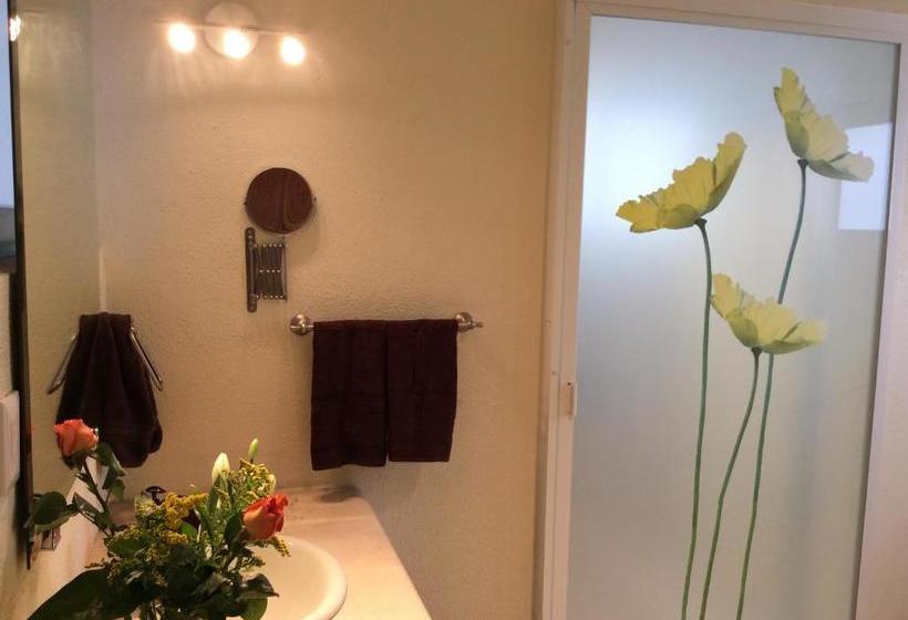 בית מלון כפרי Casa Roa