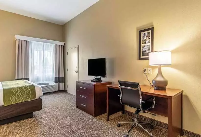 호텔 Comfort Inn & Suites Tuscumbiamuscle Shoals