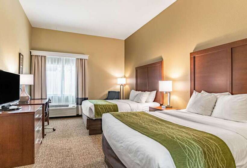 酒店 Comfort Inn & Suites Tuscumbiamuscle Shoals