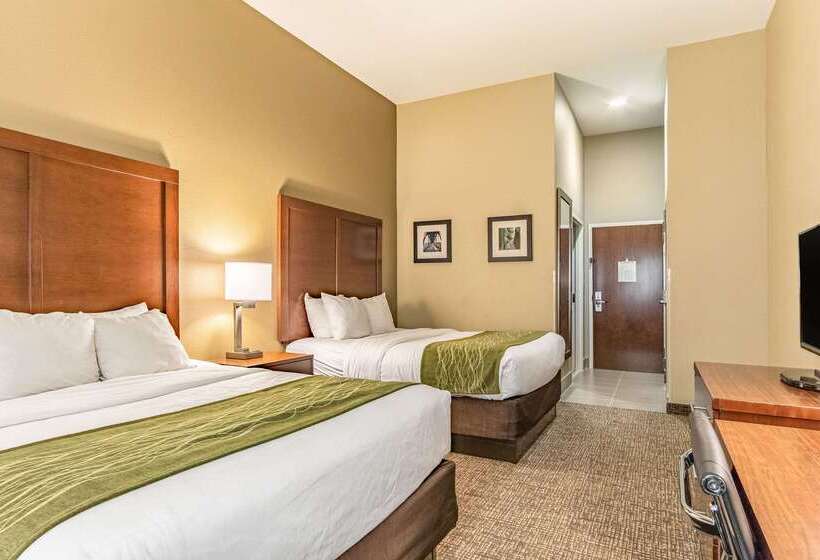 酒店 Comfort Inn & Suites Tuscumbiamuscle Shoals
