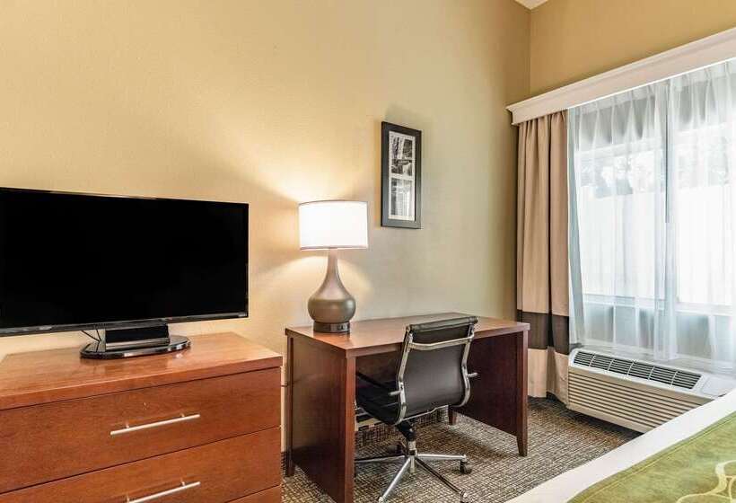 酒店 Comfort Inn & Suites Tuscumbiamuscle Shoals