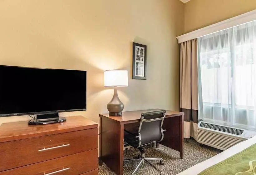 호텔 Comfort Inn & Suites Tuscumbiamuscle Shoals
