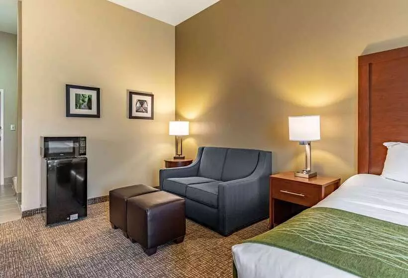 호텔 Comfort Inn & Suites Tuscumbiamuscle Shoals