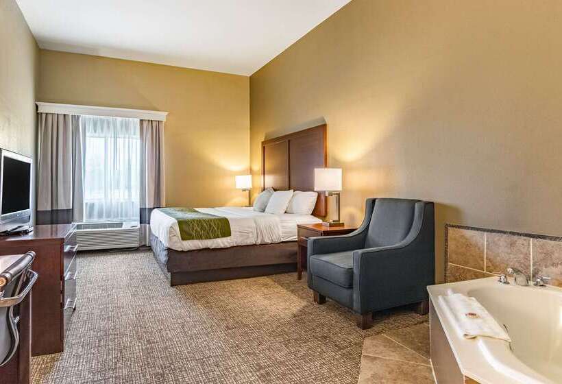 酒店 Comfort Inn & Suites Tuscumbiamuscle Shoals