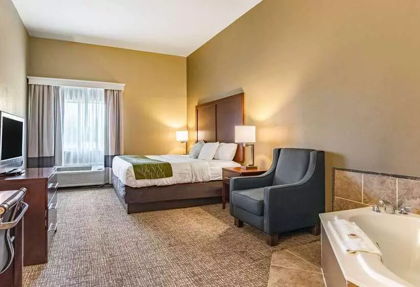 호텔 Comfort Inn & Suites Tuscumbiamuscle Shoals