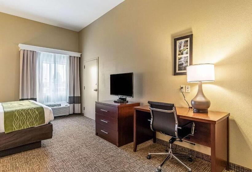 酒店 Comfort Inn & Suites Tuscumbiamuscle Shoals