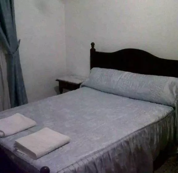 酒店 Hostal Medina