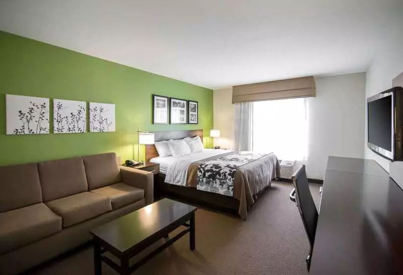 호텔 Sleep Inn & Suites