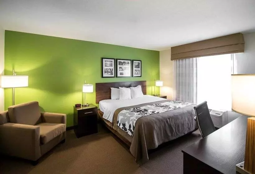 호텔 Sleep Inn & Suites