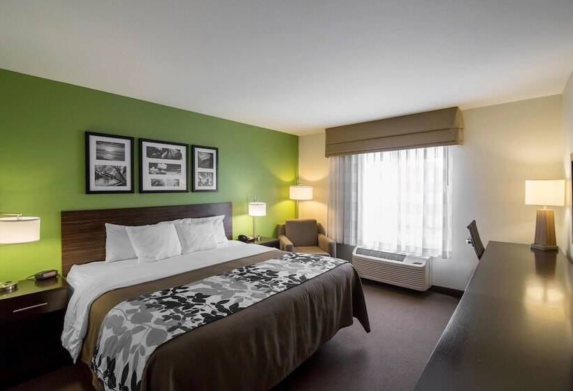 酒店 Sleep Inn & Suites