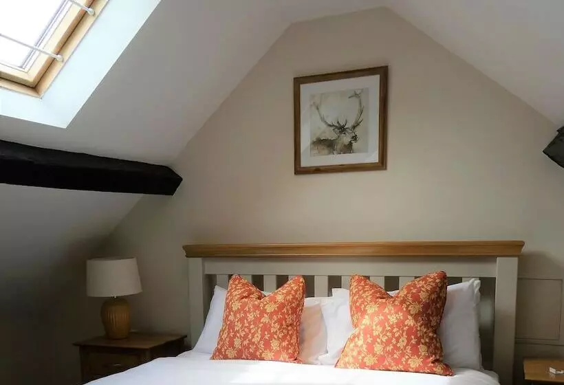 Отель The Frocester